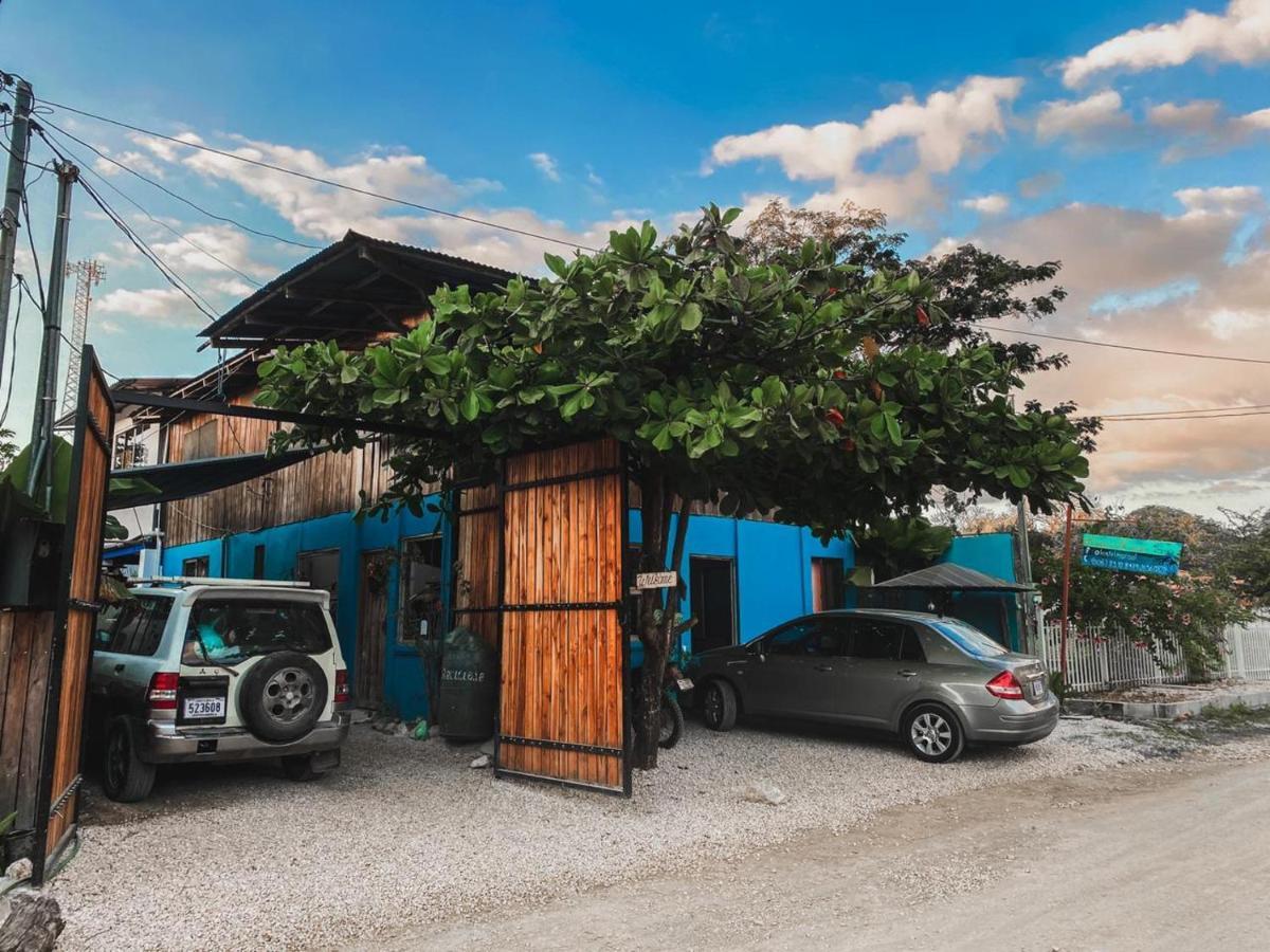Hostel Marisol Sámara エクステリア 写真