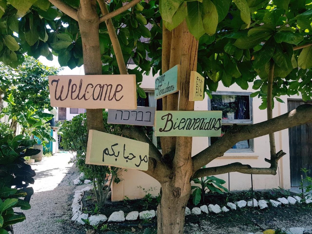Hostel Marisol Sámara エクステリア 写真